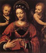 LUINI, Bernardino St.Catherine oil